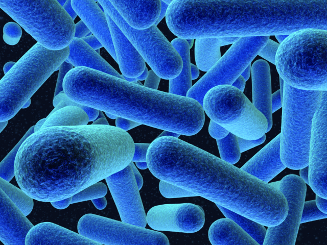Listeria-640x480